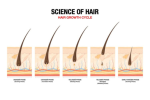 How To Make Hair Grow Faster: 2 Essential Facts You Should Know 